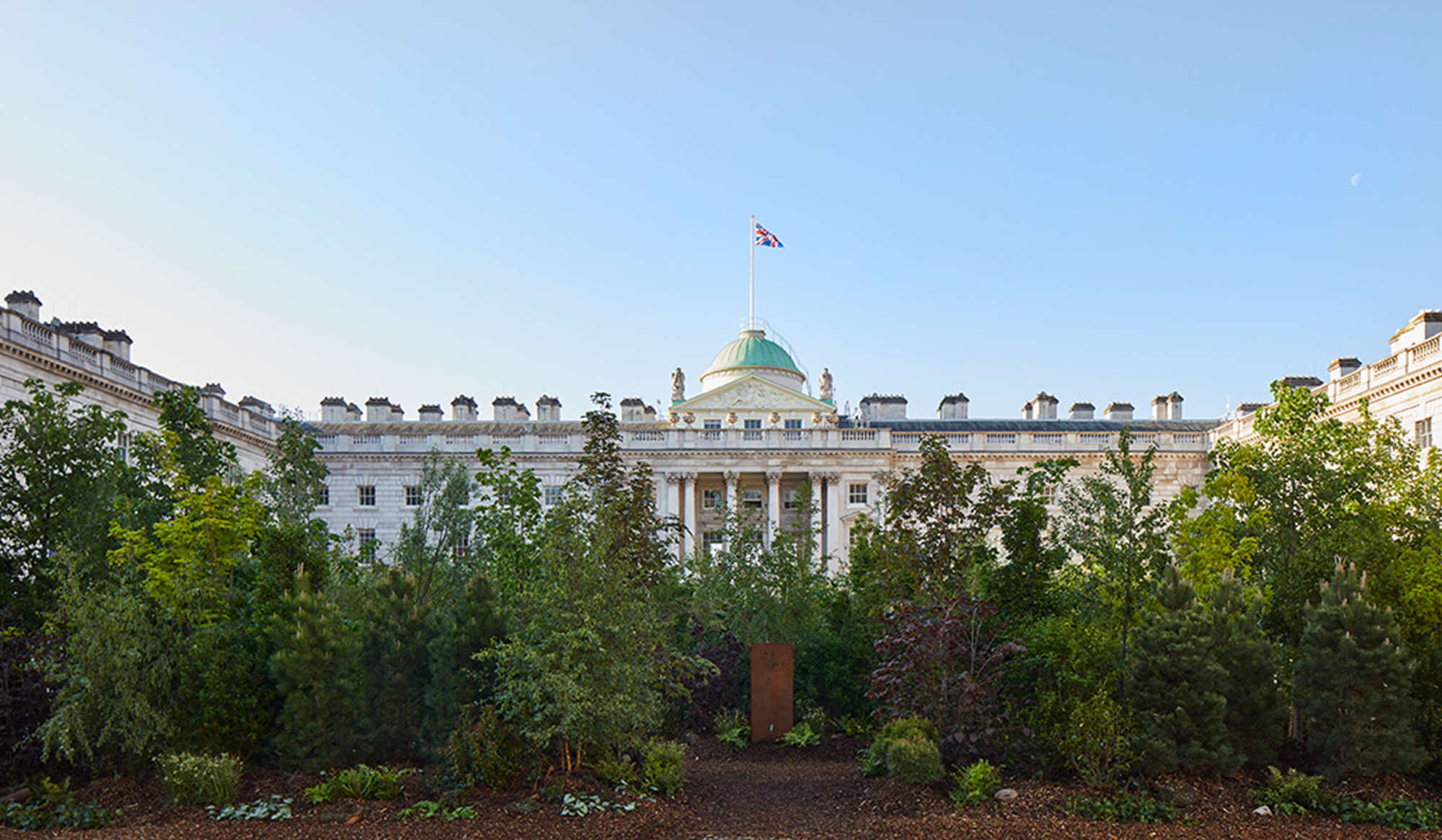 Forest for Change Somerset House 2021 Es Devlin