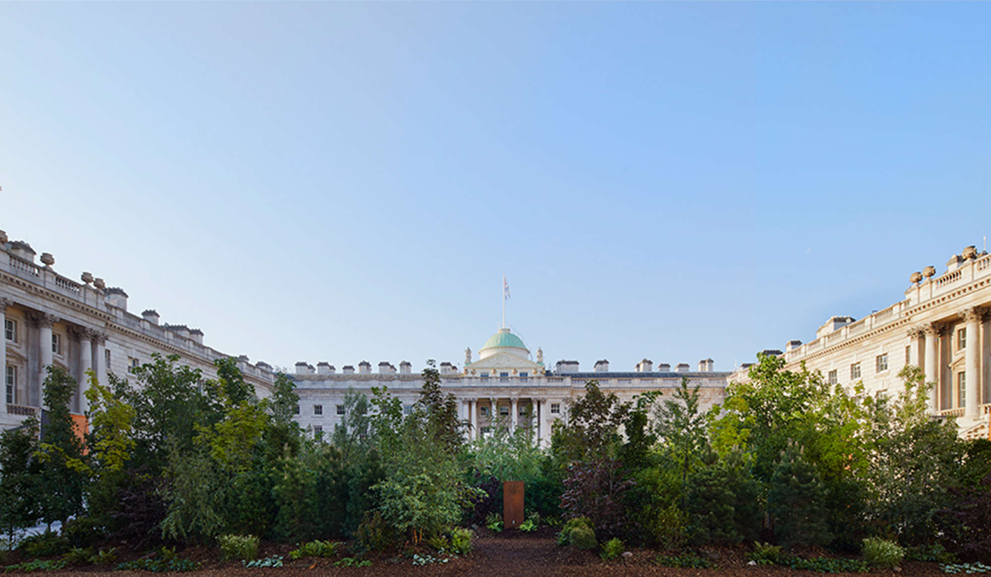 Forest for Change Somerset House 2021 Es Devlin